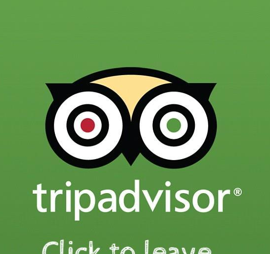 TripAdvisor Logo